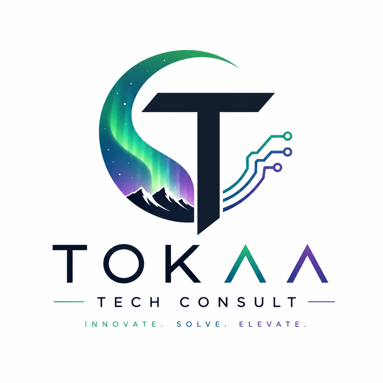 Tokaa Tech Consult